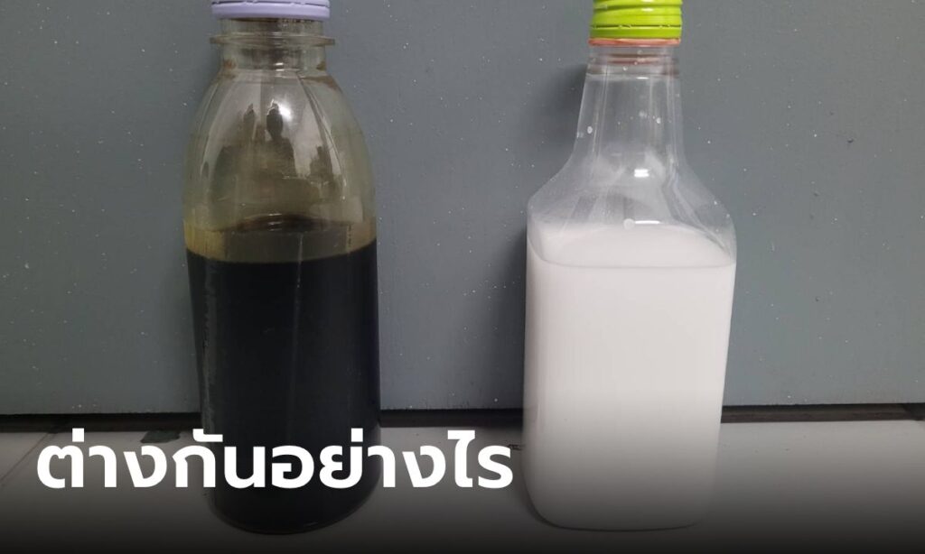 ยาธาตุน้ําขาว แก้อะไร